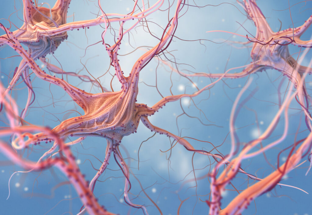 Neurons illustration